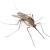 Rosslyn Mosquitoes & Ticks by AR1 Group LLC