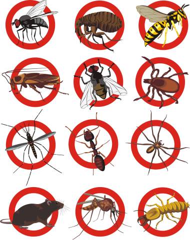 Pest control services by AR1 Group LLC